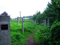 Viele Steinstelen auf einer Wiese mit Schrifttafeln versehen Viele Steinstelen auf einer Wiese mit Schrifttafeln versehen