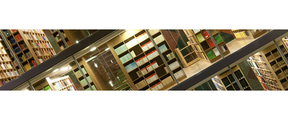 Bibliothek des Oberverwaltungsgericht (Ausschnitt)